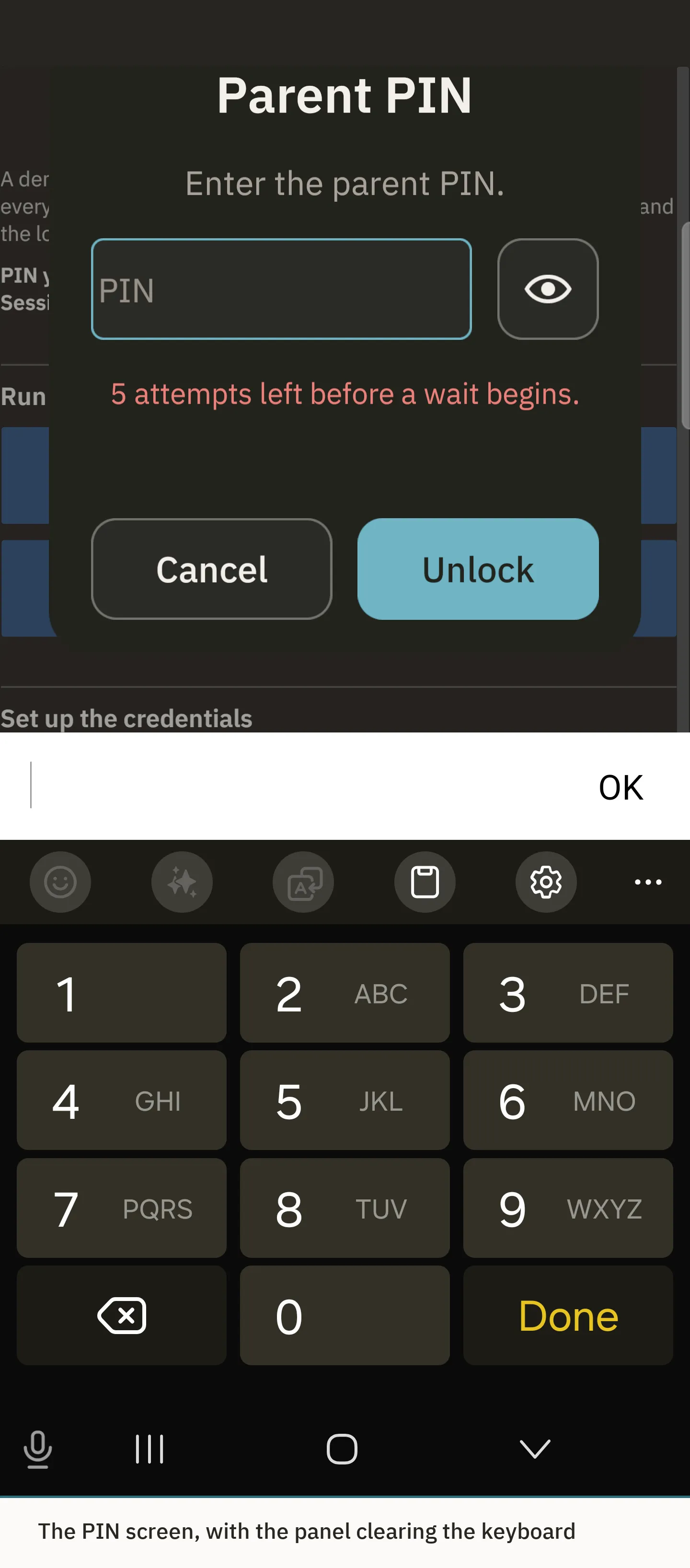 PIN entry in the dark theme